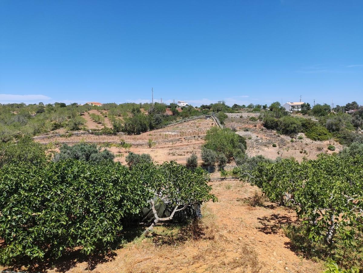 Apartmán Casa Azul Albufeira Exteriér fotografie